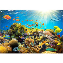 Sisustustarra Artgeist Underwater Land, eri kokoja
