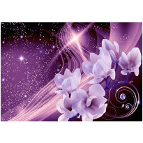 Sisustustarra Artgeist Purple Milky Way, eri kokoja