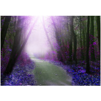 Sisustustarra Artgeist Purple path, eri kokoja