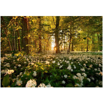 Sisustustarra Artgeist Forest flora, eri kokoja