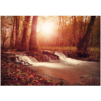 Sisustustarra Artgeist Autumn Dreaminess, eri kokoja