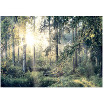 Sisustustarra Artgeist Tales of a Forest, eri kokoja