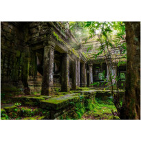 Sisustustarra Artgeist Preah Khan, eri kokoja
