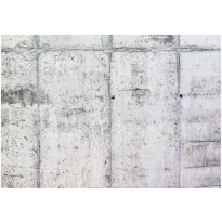 Sisustustarra Artgeist Concrete Wall, eri kokoja