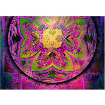 Sisustustarra Artgeist Mandala: Pink Expression, eri kokoja