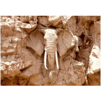 Sisustustarra Artgeist Stone Elephant, eri kokoja
