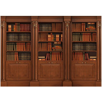 Sisustustarra Artgeist Elegant Library, eri kokoja