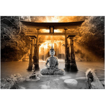 Sisustustarra Artgeist Buddha Smile III, eri kokoja