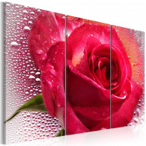 Canvas-taulu Artgeist Lady Rose, 3-osainen, eri kokoja