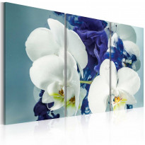 Canvas-taulu Artgeist Chimerical orchids, eri kokoja