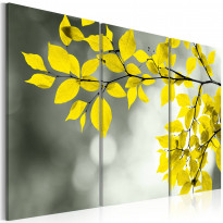 Canvas-taulu Artgeist Gold sprig, eri kokoja