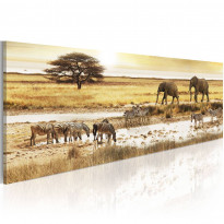 Canvas-taulu Artgeist Africa: at the waterhole, eri kokoja
