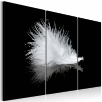 Canvas-taulu Artgeist A small feather, eri kokoja