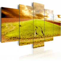 Canvas-taulu Artgeist Wheels traces on a field, eri kokoja