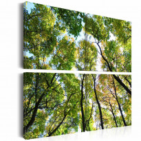 Canvas-taulu Artgeist Treetops, eri kokoja