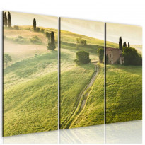 Canvas-taulu Artgeist Under the Tuscan Sun, eri kokoja