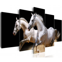 Canvas-taulu Artgeist Gallop - freedom and power, eri kokoja
