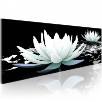 Canvas-taulu Artgeist Alabaster lilies, eri kokoja