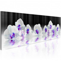 Canvas-taulu Artgeist Water Orchids, eri kokoja