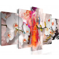 Canvas-taulu Artgeist Colorful background and orchids, eri kokoja