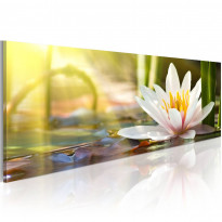 Canvas-taulu Artgeist Lotus&#039; Glow, eri kokoja