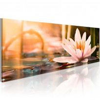 Canvas-taulu Artgeist Beautiful Lotus, eri kokoja