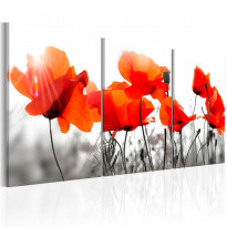 Canvas-taulu Artgeist Charming Poppies, eri kokoja