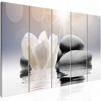 Canvas-taulu Artgeist Pebbles in Water, 5-osainen, kapea, eri kokoja