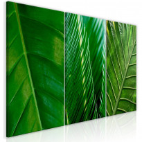 Canvas-taulu Artgeist Leaves Collection, eri kokoja