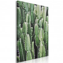 Canvas-taulu Artgeist Cactus Garden, 1-osainen, pystysuuntainen, eri kokoja