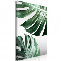 Canvas-taulu Artgeist Monstera Leaves, 1-osainen, pystysuuntainen, eri kokoja