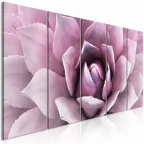 Canvas-taulu Artgeist Agave Pink, 5-osainen, kapea, eri kokoja