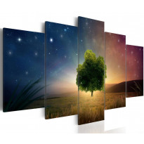 Canvas-taulu Artgeist Starry Nights, eri kokoja