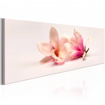 Canvas-taulu Artgeist Beautiful Magnolias, eri kokoja