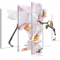 Canvas-taulu Artgeist Delightful Orchid, 5-osainen, leveä, eri kokoja