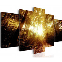 Canvas-taulu Artgeist Autumn Forest, eri kokoja