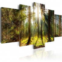 Canvas-taulu Artgeist Morning Awakening, eri kokoja