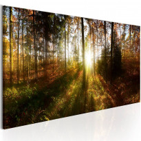 Canvas-taulu Artgeist Beautiful Forest , eri kokoja
