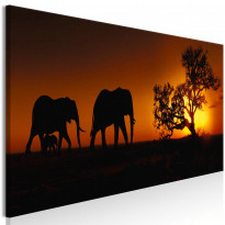 Canvas-taulu Artgeist Elephant Family Orange, eri kokoja