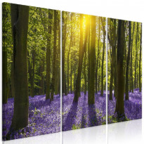 Canvas-taulu Artgeist Hyacinth Field, 3-osainen, eri kokoja