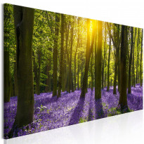 Canvas-taulu Artgeist Hyacinth Field, 1-osainen, kapea, eri kokoja