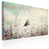 Canvas-taulu Artgeist Wild Meadow, eri kokoja