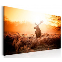 Canvas-taulu Artgeist Deer in the Sun, eri kokoja