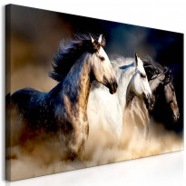 Canvas-taulu Artgeist Sons of the Wind, 1-osainen, leveä, eri kokoja