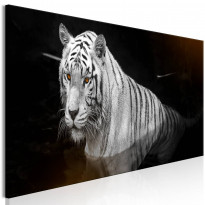 Canvas-taulu Artgeist Shining Tiger Orange, 1-osainen, kapea, eri kokoja