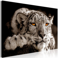 Canvas-taulu Artgeist Magic Eyes, 1-osainen, leveä, eri kokoja