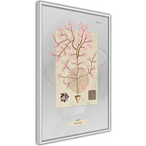 Juliste Artgeist Mysterious Tree, kehyksillä, eri kokoja