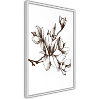 Juliste Artgeist Renaissance Magnolias, kehyksillä, eri kokoja