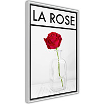 Juliste Artgeist La Rose, kehyksillä, eri kokoja