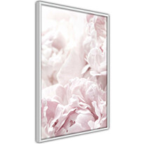 Juliste Artgeist Fluffy Peonies, kehyksillä, eri kokoja